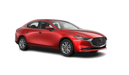 mzdls-removebg-preview